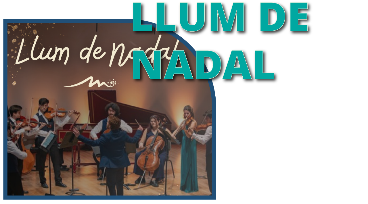 NMC-proyecto-llum-de-nadal